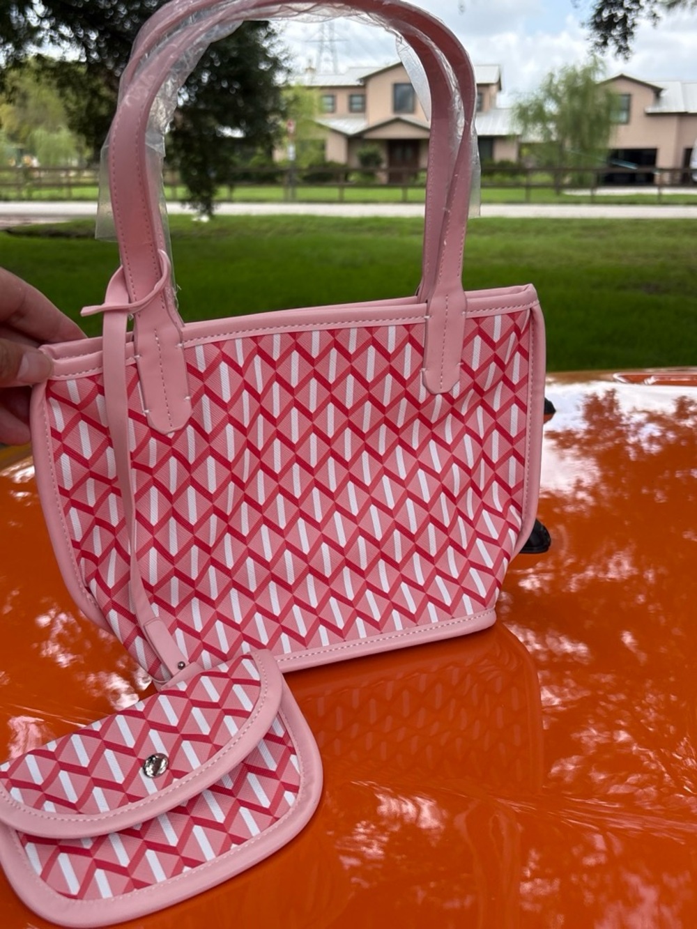 Pink Geometric Mini Tote with Matching Coin Pouch